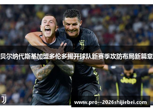 贝尔纳代斯基加盟多伦多揭开球队新赛季攻防布局新篇章